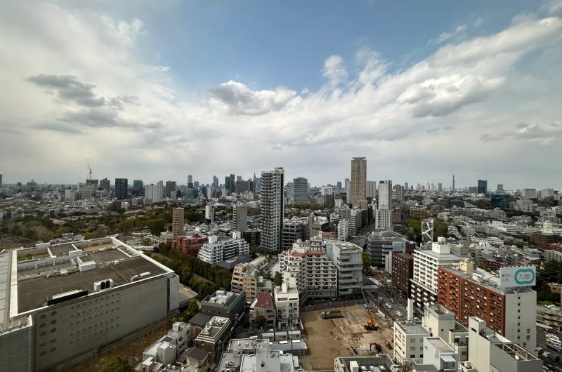 アトラスタワー六本木 24階の写真（5枚目）