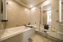 ジオグランデ白金台 15階のサムネイル写真（12枚目）