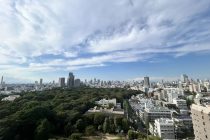 ジオグランデ白金台 15階のサムネイル写真（8枚目）